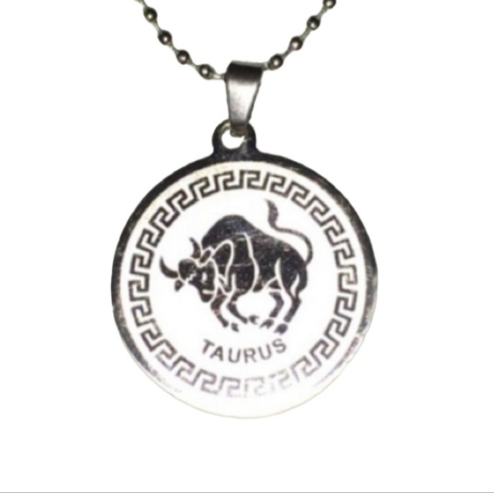 Taurus Silver Stainless Steel Frosted Zodiac Pendant Necklace Birth Birthsign